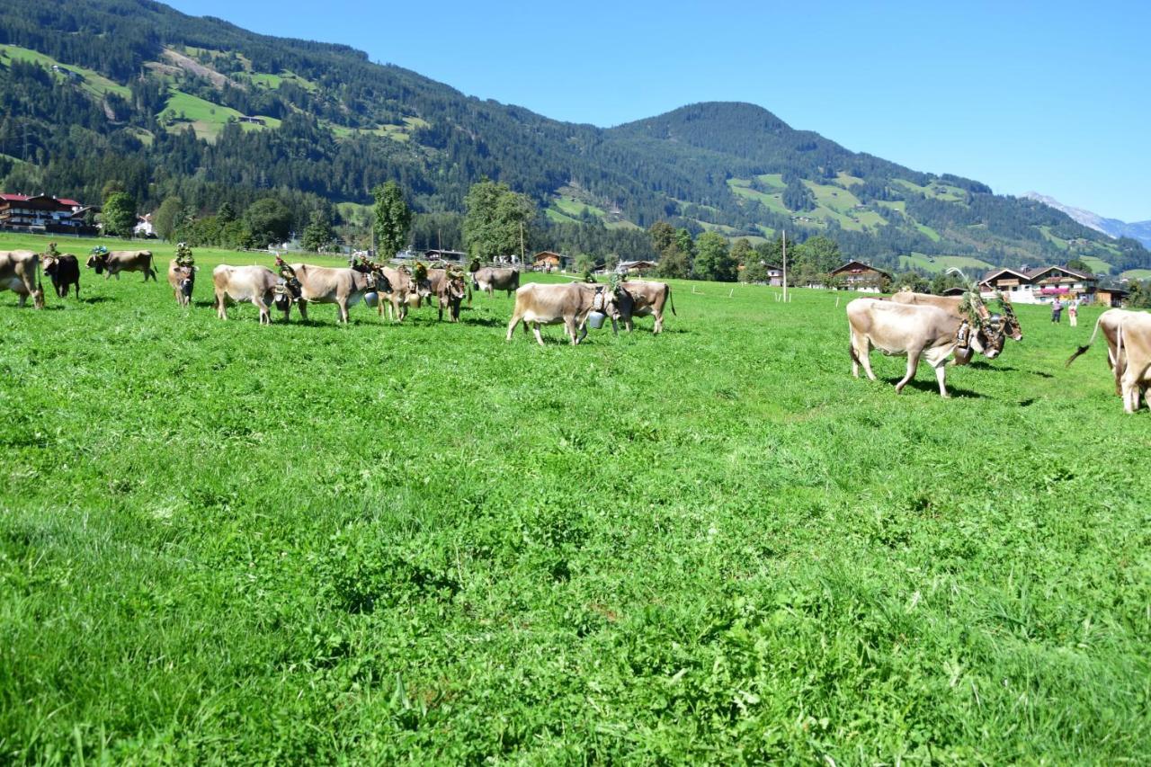 Ferienhaus Oberhuben Fuegenberg Exteriör bild